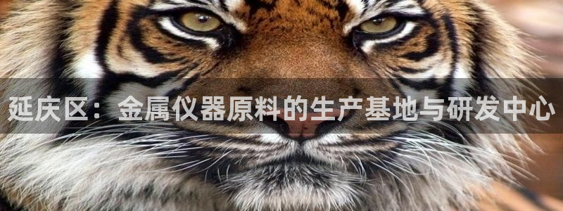 门徒娱乐注册研判官333OO：延庆区：金属仪器原料的生产基地