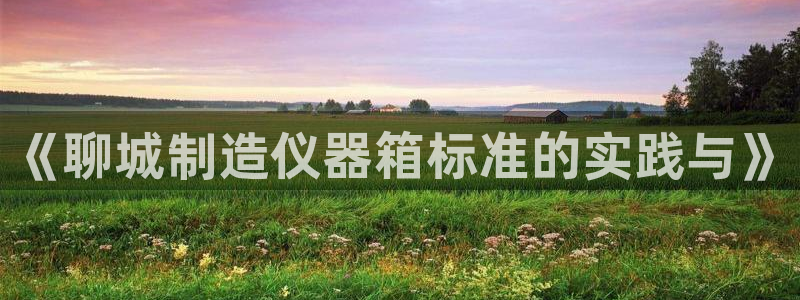 门徒娱乐合作：《聊城制造仪器箱标准的实践与》