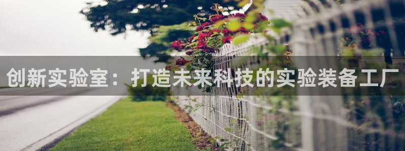 门徒娱乐项目：创新实验室：打造未来科技的实验装备工厂