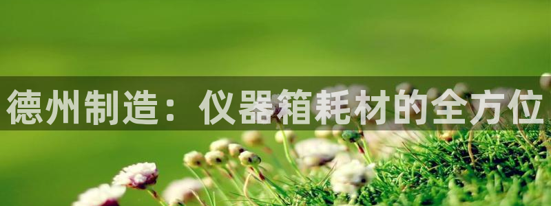 门徒六娱乐：德州制造：仪器箱耗材的全方位