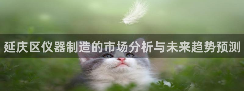 门徒娱乐线路图片高清图：延庆区仪器制造的市场分析与未来趋势预