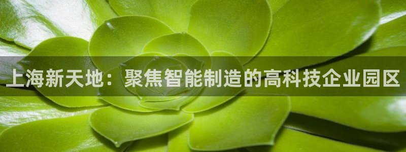 门徒娱乐总代理怎么样呀：上海新天地：聚焦智能制造的高科技企业
