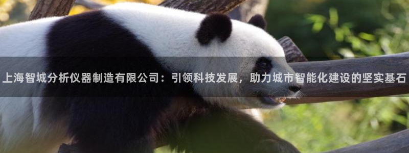 门徒剧照新浪娱乐：上海智城分析仪器制造有限公司：引领科技发展