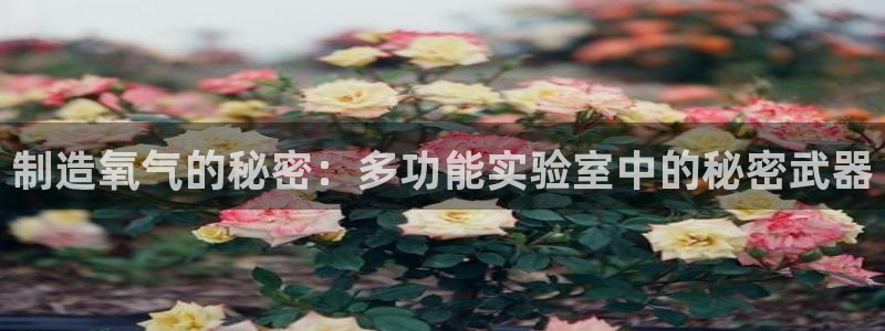 白云生娱乐门徒：制造氧气的秘密：多功能实验室中的秘密武器