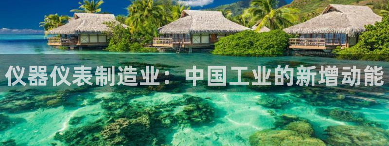 门徒娱乐平如何注册：仪器仪表制造业：中国工业的新增动能