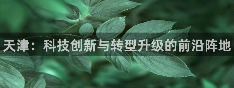 门徒娱乐平台下载安装：天津：科技创新与转型升级的前沿阵地