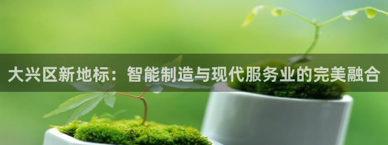 门徒娱乐黑钱事件真相：大兴区新地标：智能制造与现代服务业的完