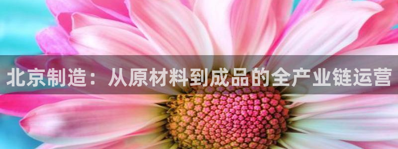 门徒娱乐网站有哪些公司：北京制造：从原材料到成品的全产业链运