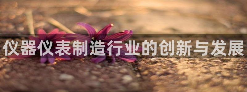 门徒娱乐代理待遇怎么样：仪器仪表制造行业的创新与发展