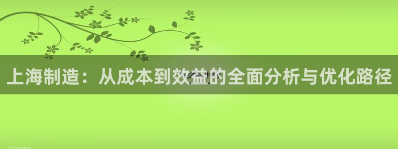 门徒娱乐网页版登录：上海制造：从成本到效益的全面分析与优化路
