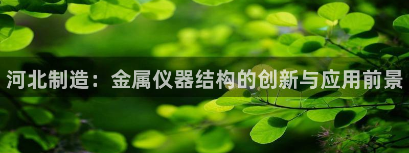 门徒第娱乐首页：河北制造：金属仪器结构的创新与应用前景