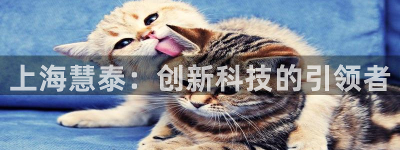 门徒娱乐联盟怎么样了：上海慧泰：创新科技的引领者