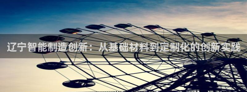 门徒娱乐项目有哪些：辽宁智能制造创新：从基础材料到定制化的创