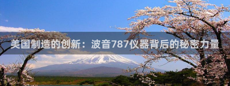 门徒娱乐注册找唐老鸭779O3：美国制造的创新：波音787仪
