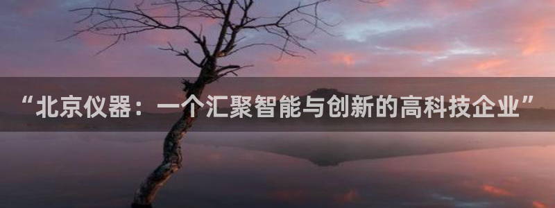 门徒娱乐官网登录不了：“北京仪器：一个汇聚智能与创新的高科技