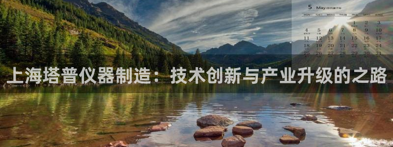 娱乐门徒最佳导演：上海塔普仪器制造：技术创新与产业升级的之路