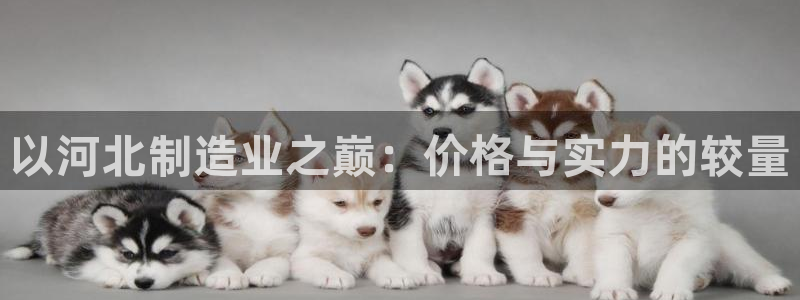 门徒娱乐题究7276O：以河北制造业之巅：价格与实力的较量