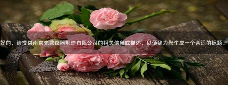 和娱乐门徒相似的小说：好的，请提供南京先欧仪器制造有限公司的