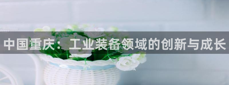 门徒娱乐项目介绍：中国重庆：工业装备领域的创新与成长