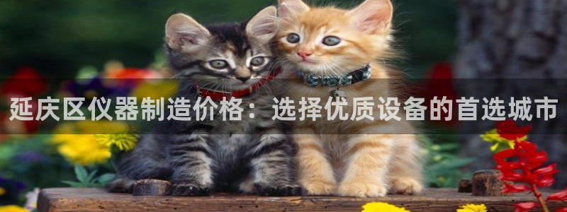 门徒娱乐代理怎么办：延庆区仪器制造价格：选择优质设备的首选城