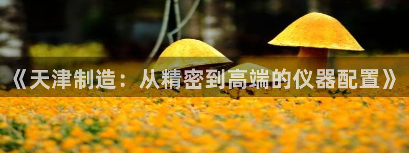 门徒娱乐在线登录观看：《天津制造：从精密到高端的仪器配置》