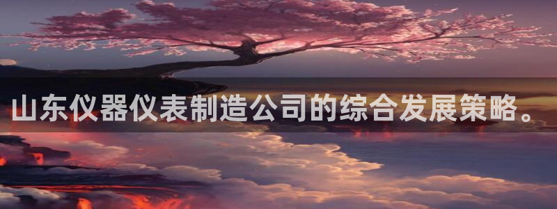 门徒娱乐官网登录网址：山东仪器仪表制造公司的综合发展策略。