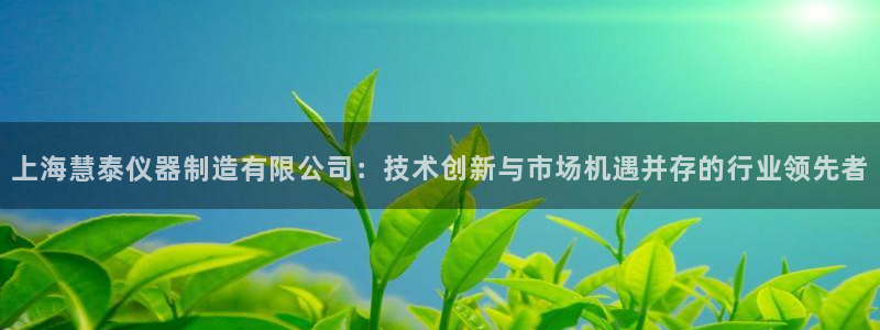 门徒娱乐找qv382223：上海慧泰仪器制造有限公司：技术创