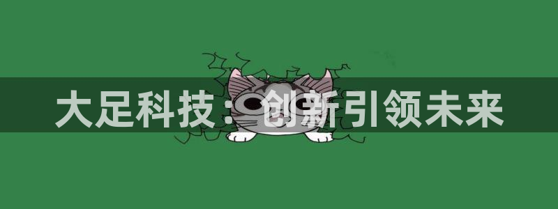 门徒娱乐挂机：大足科技：创新引领未来