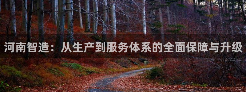 门徒娱乐圈主管的是谁：河南智造：从生产到服务体系的全面保障与
