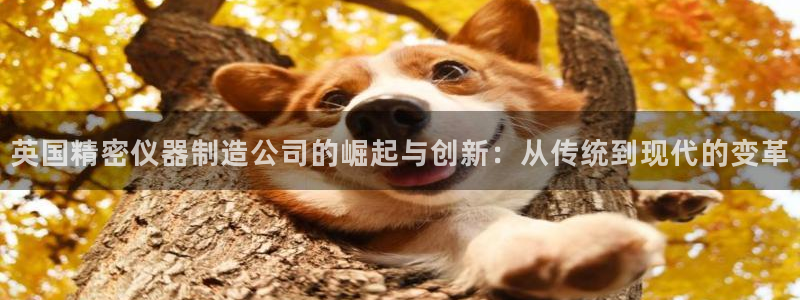 门徒娱乐登录网址是多少：英国精密仪器制造公司的崛起与创新：从