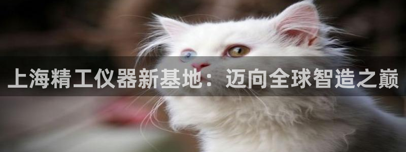 门徒娱乐属于哪个系列的：上海精工仪器新基地：迈向全球智造之巅