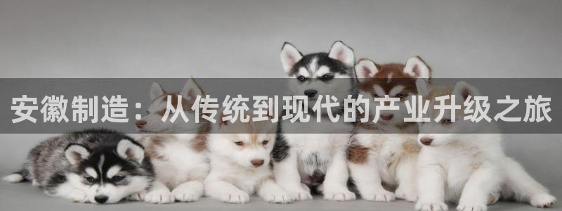 门徒娱乐注册各判官333OO：安徽制造：从传统到现代的产业升