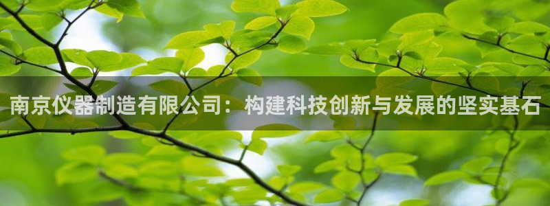 门徒娱乐公司新闻：南京仪器制造有限公司：构建科技创新与发展的