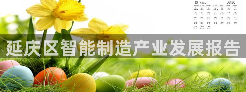 娱乐门徒完结小说有哪些：延庆区智能制造产业发展报告