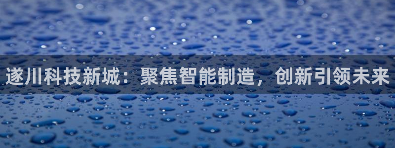 门徒娱乐测速地址：遂川科技新城：聚焦智能制造，创新引领未来