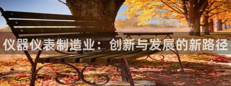 门徒娱乐是不是骗人的：仪器仪表制造业：创新与发展的新路径