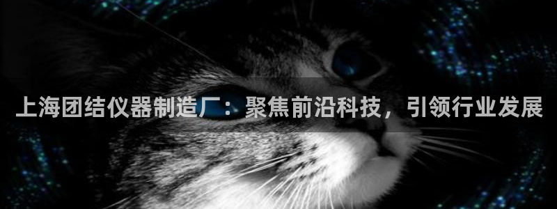 和门徒娱乐一样的平台：上海团结仪器制造厂：聚焦前沿科技，引领