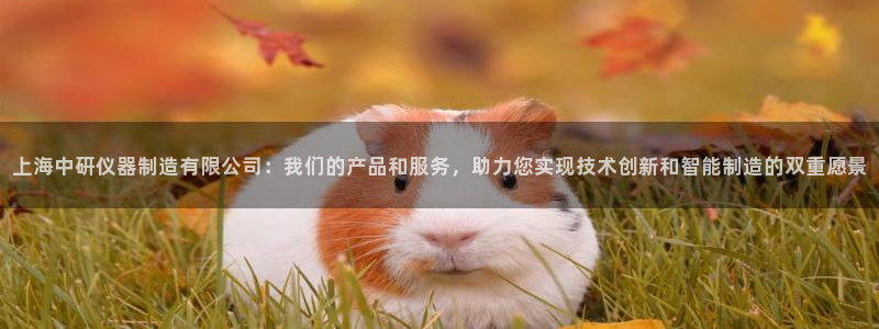 门徒娱乐公司新闻：上海中研仪器制造有限公司：我们的产品和服务