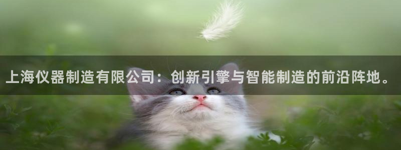 门徒娱乐这个平台怎么样：上海仪器制造有限公司：创新引擎与智能