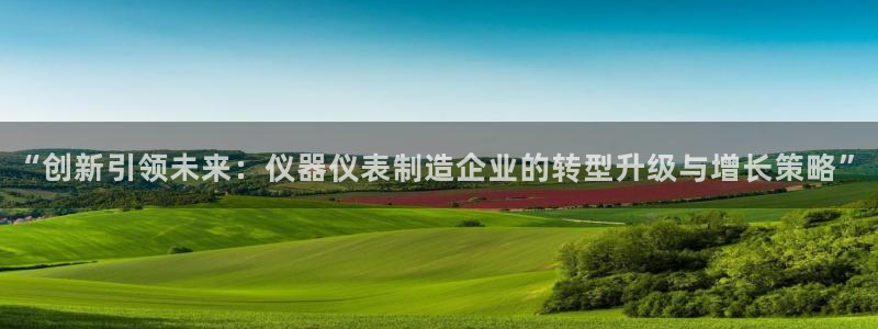 门徒娱乐网页版官网：“创新引领未来：仪器仪表制造企业的转型升