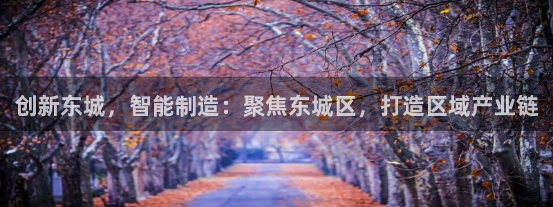 娱乐门徒 小说推荐：创新东城，智能制造：聚焦东城区，打造区域