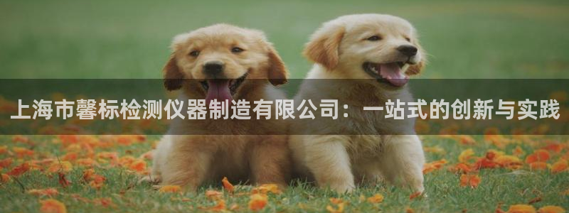 娱乐门徒登录：上海市馨标检测仪器制造有限公司：一站式的创新与
