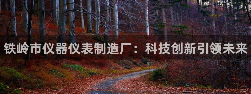 门徒娱乐官网：铁岭市仪器仪表制造厂：科技创新引领未来