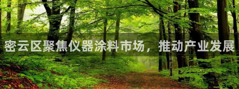 门徒娱乐彩票官网下载：密云区聚焦仪器涂料市场，推动产业发展
