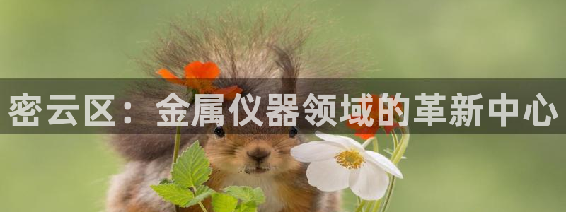 门徒娱乐黑不黑：密云区：金属仪器领域的革新中心