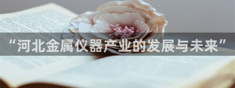 门徒娱乐怎么挂机不掉线：“河北金属仪器产业的发展与未来”