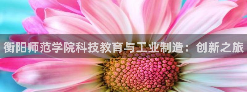门徒娱乐网页版登录不上：衡阳师范学院科技教育与工业制造：创新