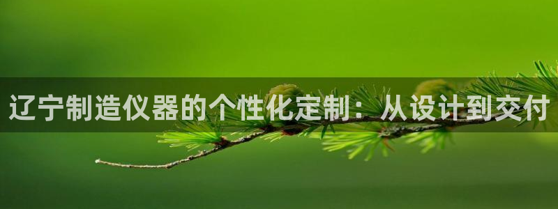 门徒娱乐队究7276O：辽宁制造仪器的个性化定制：从设计到交