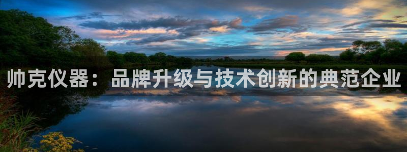 门徒娱乐乃六七五一38：帅克仪器：品牌升级与技术创新的典范企