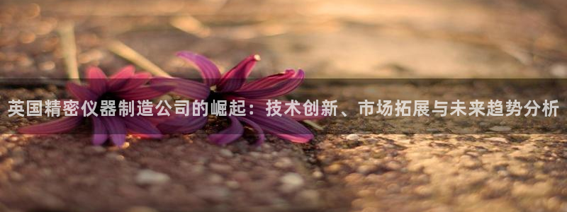 门徒娱乐注册自判官333OO：英国精密仪器制造公司的崛起：技
